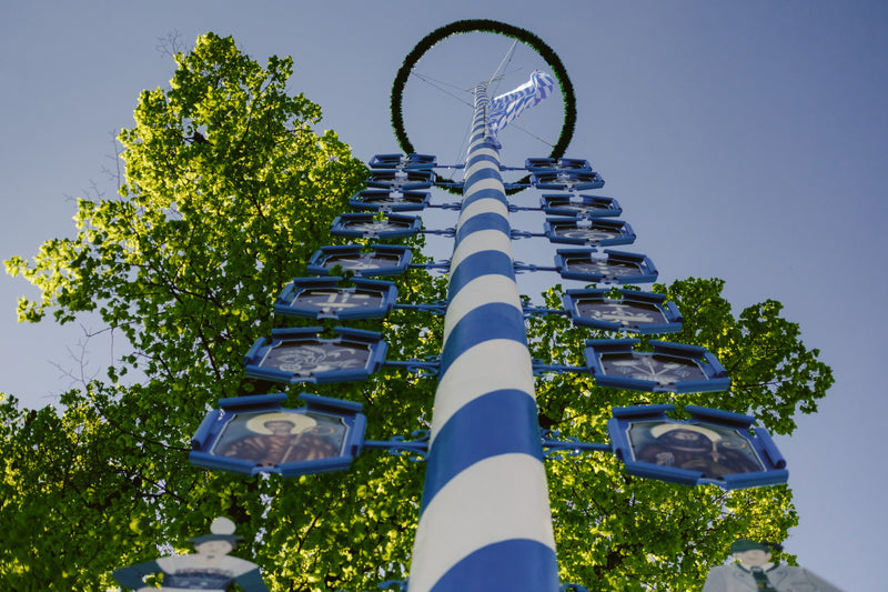 Maibaum mit blau-weißen Zunfttafeln vor grünen Baumkronen und strahlend blauem Himmel – aufgenommen aus einer eindrucksvollen Froschperspektive.