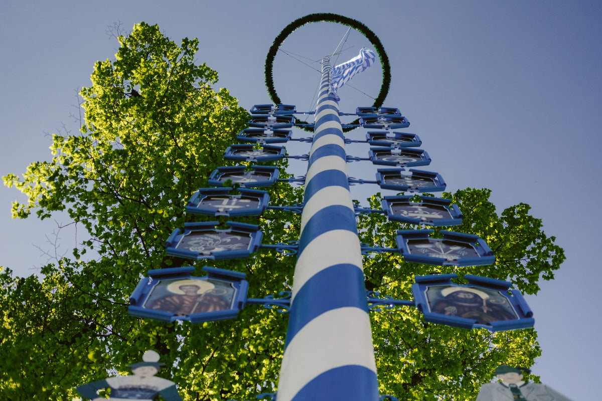 Maibaum mit blau-weißen Zunfttafeln vor grünen Baumkronen und strahlend blauem Himmel – aufgenommen aus einer eindrucksvollen Froschperspektive.